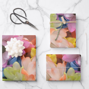 Wrapping Paper Set - Multi-Colored Daisies II
