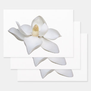 Wrapping Paper Sheet Set