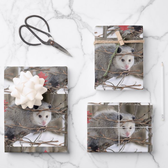 Wrapping Paper Sheets Opossum Nature (Front)