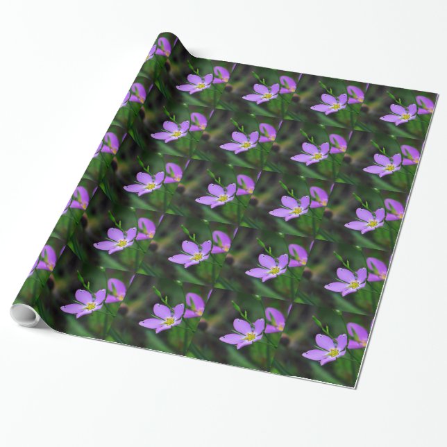 Wrapping Paper Wildflower Sabatia in Lavender (Unrolled)