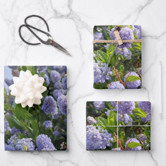 Wrapping paper with lilac flower images