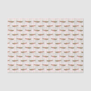 Wrapping Tissue - Chinook Salmons on Plaid Paper