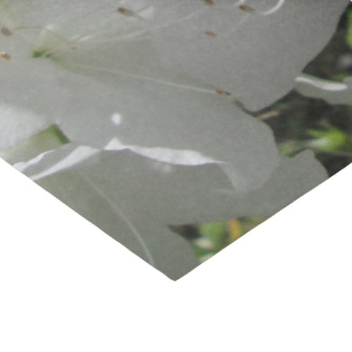 Wrapping Tissue _ White Azaleas Tissue Paper