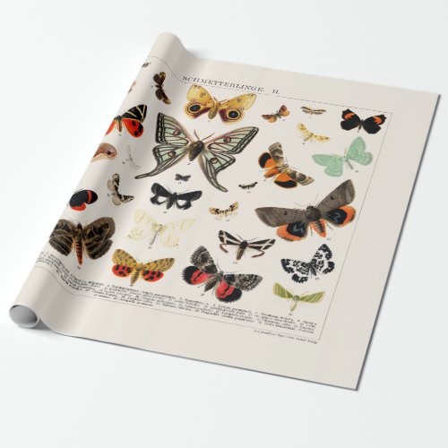 WRAPPINPAPER  ANTIQUE BUTTERFLY  MOTH LITHOGRAPH WRAPPING PAPER