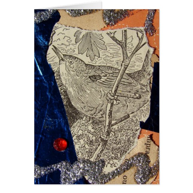 Wren ATC Cards (Front)
