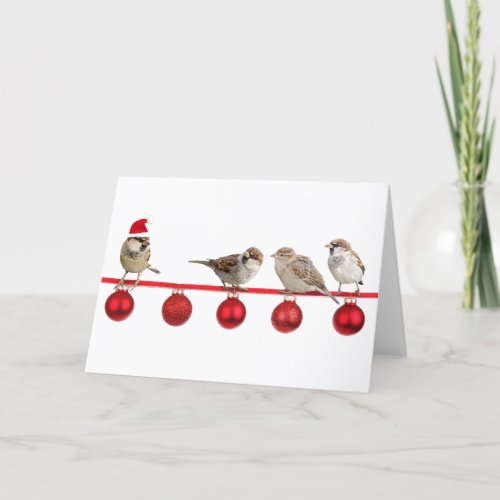 Wren Bird Christmas Ribbon wire Holiday Card