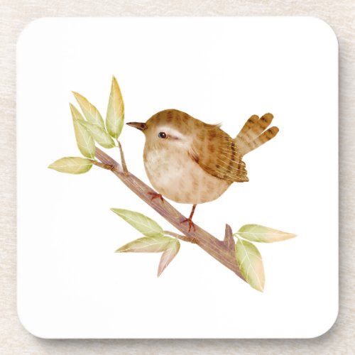 Wren Bird Coasters