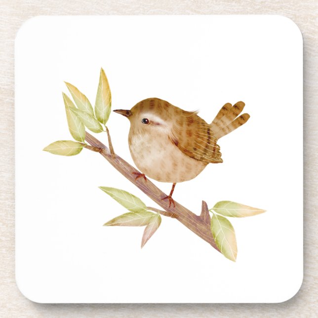 Wren Bird Coasters (Front)