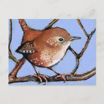 Wren  Bird  In Oil Pastel Postcard by joyart at Zazzle