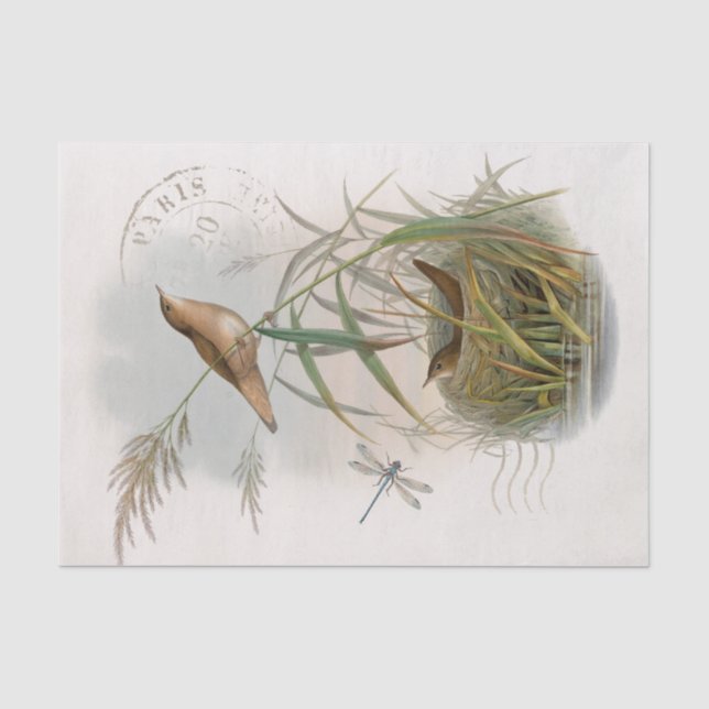 Wren Bird Nest Dragonfly French Postmark Decoupage Tissue Paper (Front)