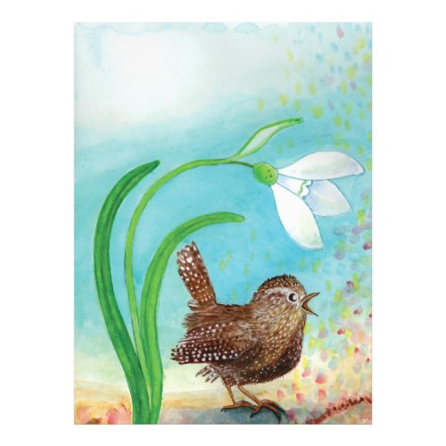 Wren Bird Sing at Dawn In the Spring  Photo Print