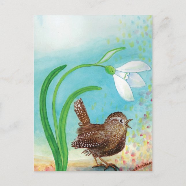 Wren Bird Sing at Dawn In the Spring  Postcard (Front)