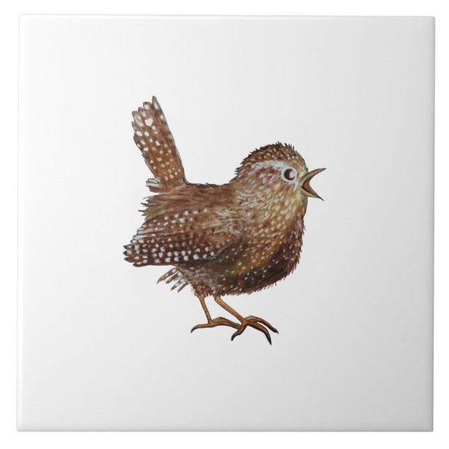 Wren Bird (Troglodytes Troglodytes) Illustration Ceramic Tile (Front)