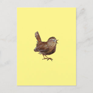 Wren Bird (Troglodytes Troglodytes) Postcard