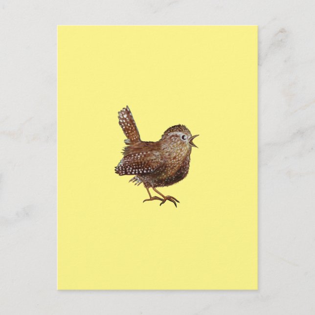 Wren Bird (Troglodytes Troglodytes) Postcard (Front)