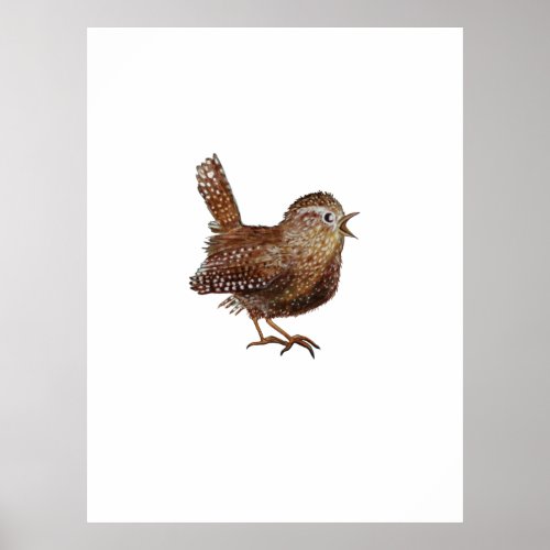 Wren Bird Troglodytes Troglodytes Poster