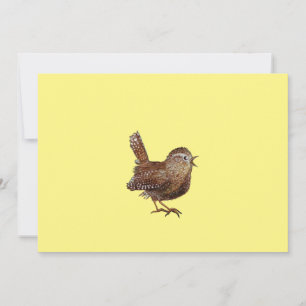 Wren Bird (Troglodytes Troglodytes) singing Invitation