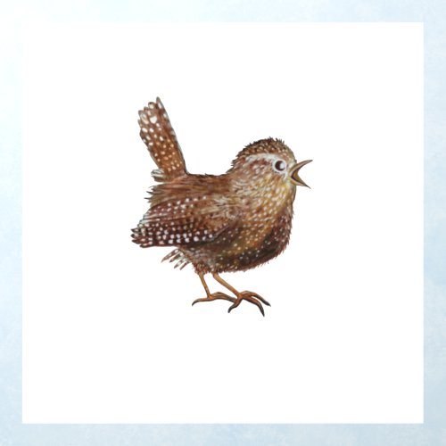 Wren Bird Troglodytes Troglodytes  Wall Decal