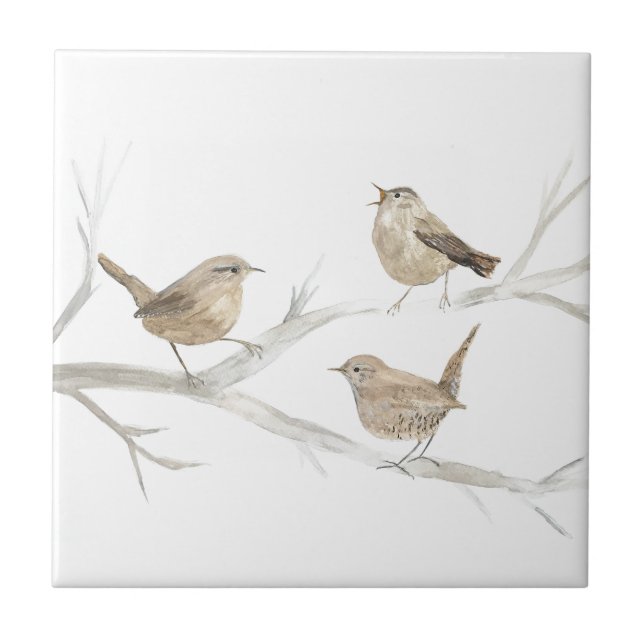 Wren Bird Wildlife Watercolor Art Cute Ceramic Tile (Front)