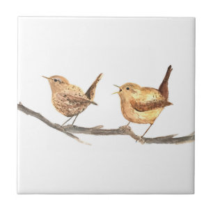Wren Bird Wildlife Watercolor Colorful Ceramic Tile