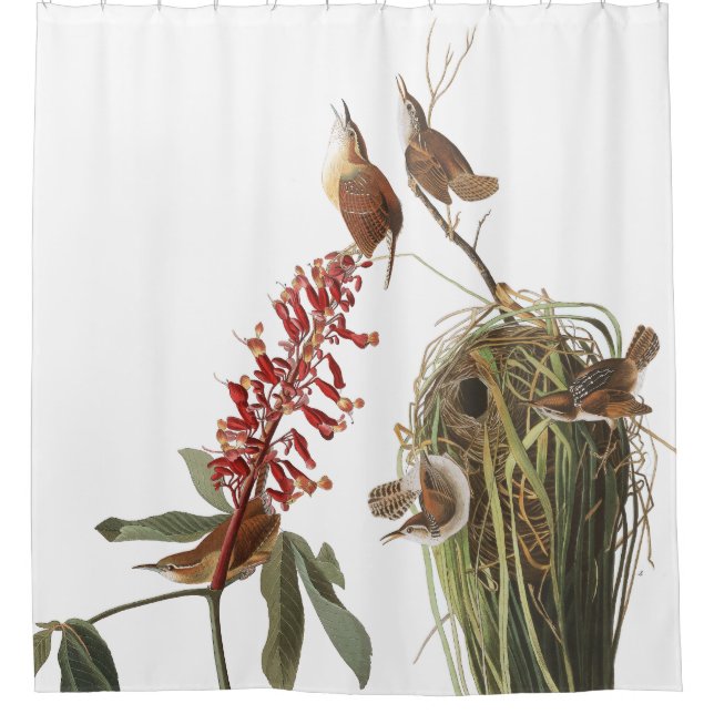 Wren Birds Wildlife Audubon Flower Shower Curtain (Front)