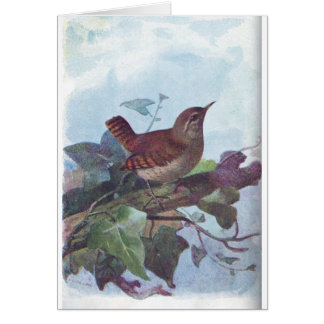 wren cards
