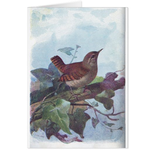 wren cards (Front)