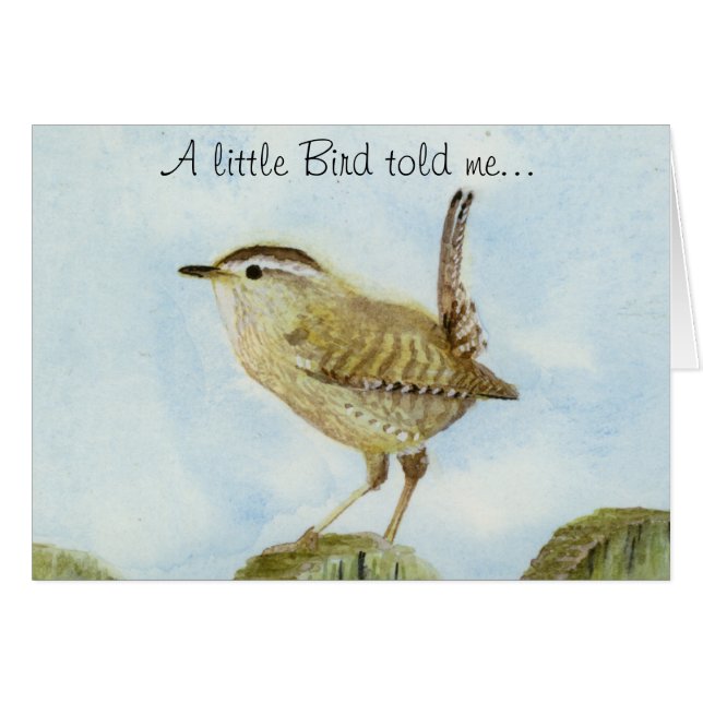 Wren Congratulations Cards (Front Horizontal)