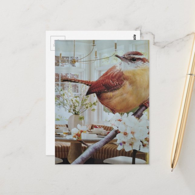 Wren in the Living Room Surreal Collage Postcard (Front/Back In Situ)