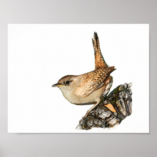 Wren Poster (Front)