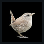 Wren Poster (Black)<br><div class="desc">"Wren" an original sketch by MWright for artwright. Affordable modern art for your walls.</div>