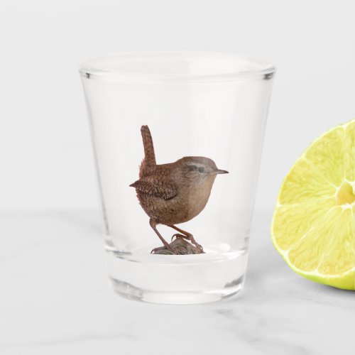 Wren Shot Glass