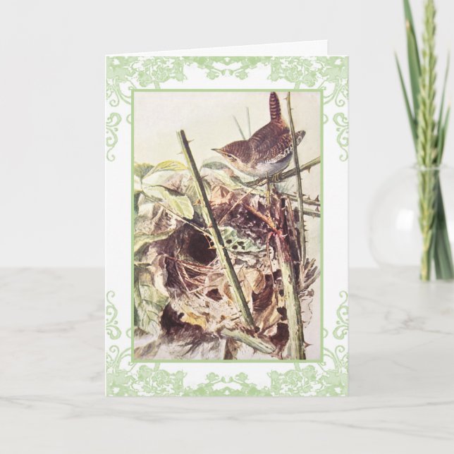Wren vintage birthday card (Front)