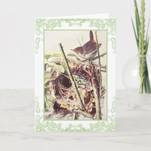 Wren vintage birthday card