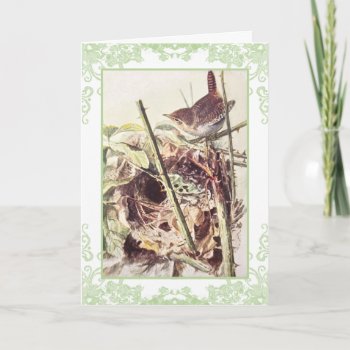 Wren Vintage Birthday Card by Past_Impressions at Zazzle