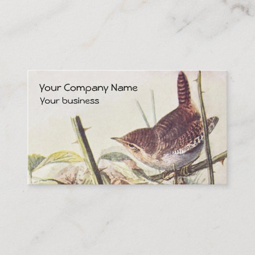 Customizable Wren vintage business card