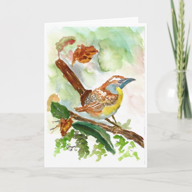 Wren watercolor blank card (Front)