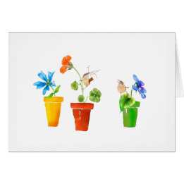 Wrens and Flowerpots Cards