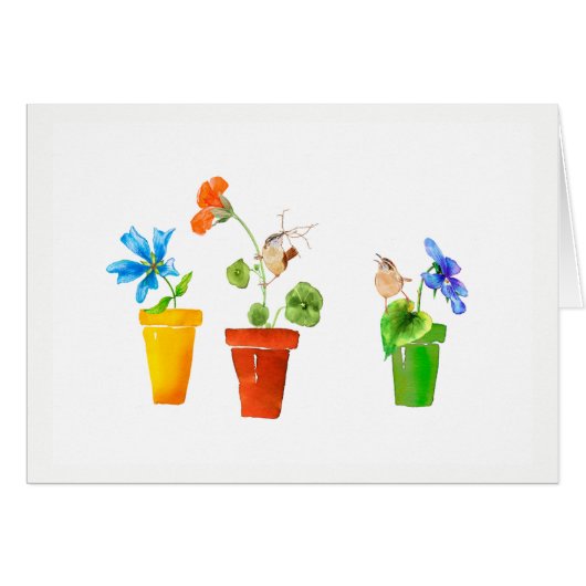 Wrens and Flowerpots Cards (Front Horizontal)