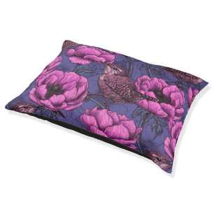 Wrens in the anemone garden pet bed