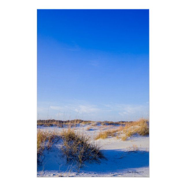 Wrightsville Beach Dunes Poster (Front)