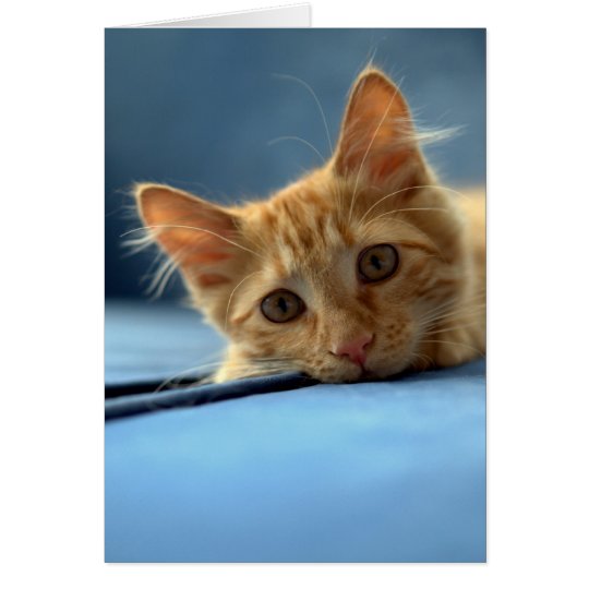 wrigley cutie pie card