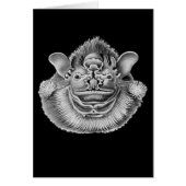 Wrinkle-faced Bat (Front)