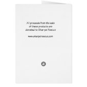 Wrinkled Brow Cards (Back)