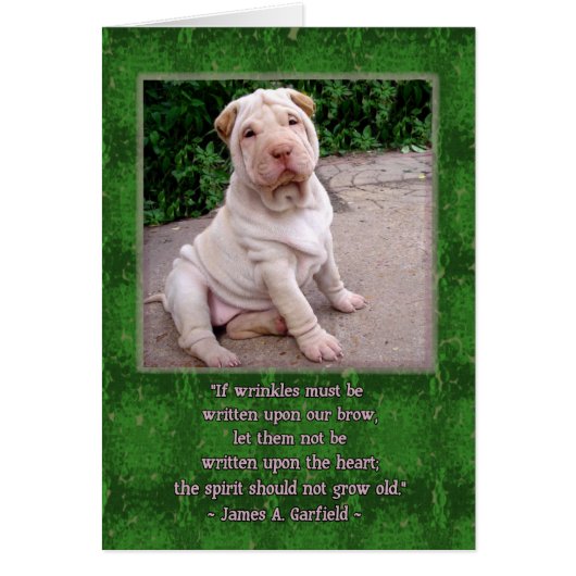 Wrinkled Brow Cards (Front)