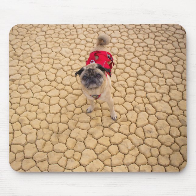 "Wrinkles on Cracks" Funny Adventure Pug Mouse Pad (Front)