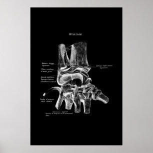 Wrist Anatomy Medical Poster Orthopedic Decor
