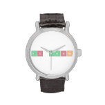 Ms Danna  Wrist Watch