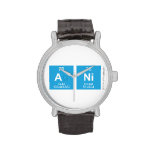 ANI  Wrist Watch