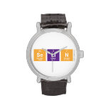 Selin  Wrist Watch